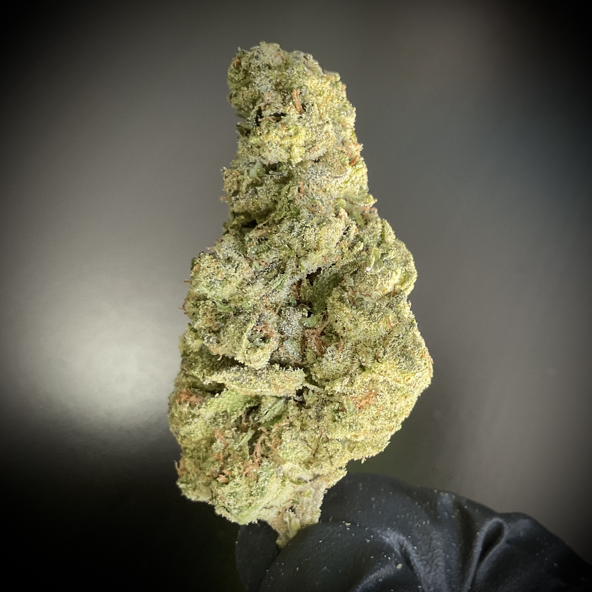 Mule Fuel THCA / Preroll